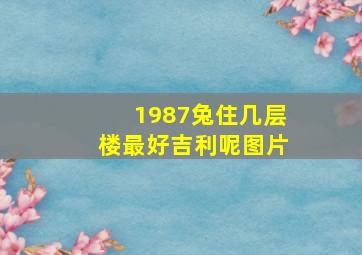 1987兔住几层楼最好吉利呢图片