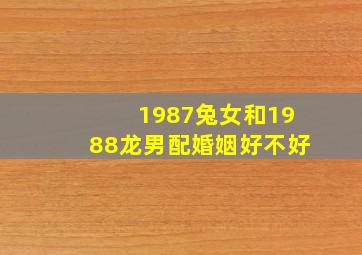 1987兔女和1988龙男配婚姻好不好