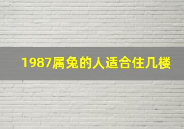 1987属兔的人适合住几楼