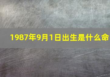 1987年9月1日出生是什么命