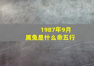 1987年9月属兔是什么命五行