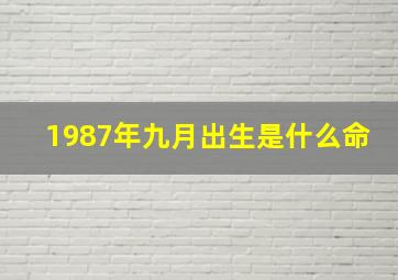 1987年九月出生是什么命