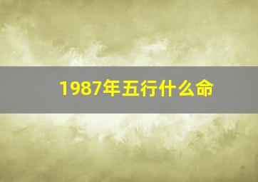 1987年五行什么命