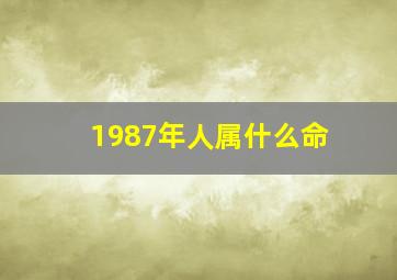 1987年人属什么命