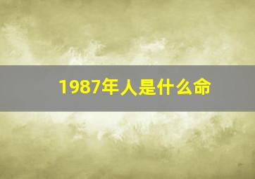 1987年人是什么命