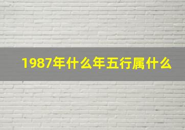 1987年什么年五行属什么