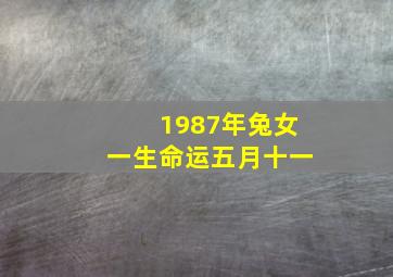 1987年兔女一生命运五月十一