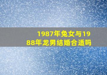 1987年兔女与1988年龙男结婚合适吗