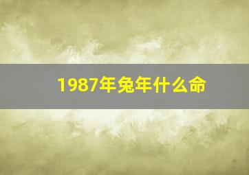 1987年兔年什么命