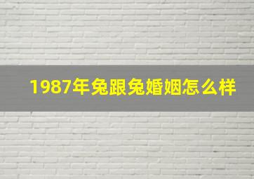 1987年兔跟兔婚姻怎么样