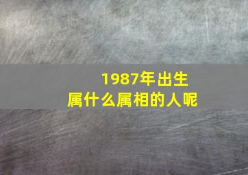 1987年出生属什么属相的人呢