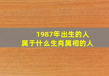 1987年出生的人属于什么生肖属相的人