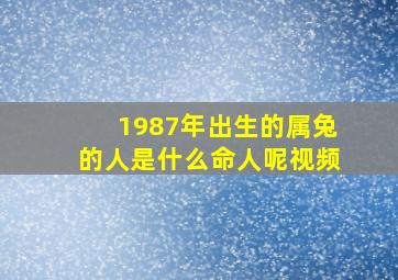 1987年出生的属兔的人是什么命人呢视频