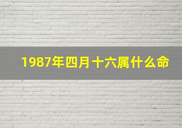 1987年四月十六属什么命