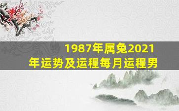 1987年属兔2021年运势及运程每月运程男