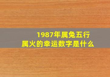 1987年属兔五行属火的幸运数字是什么