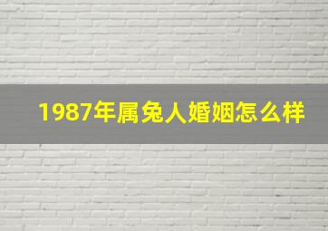 1987年属兔人婚姻怎么样