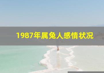 1987年属兔人感情状况