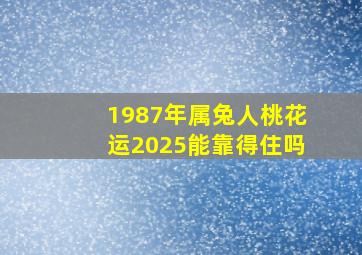 1987年属兔人桃花运2025能靠得住吗