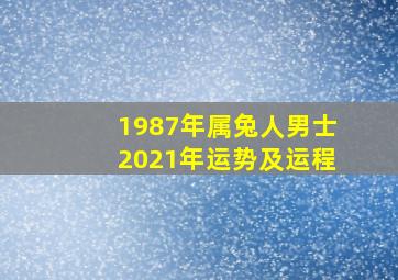 1987年属兔人男士2021年运势及运程