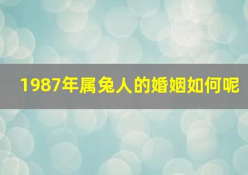 1987年属兔人的婚姻如何呢