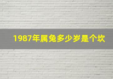 1987年属兔多少岁是个坎