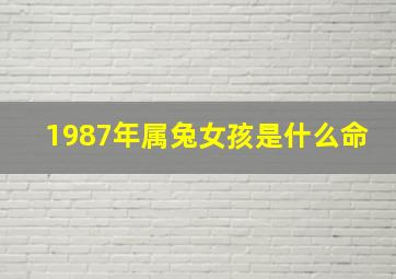 1987年属兔女孩是什么命