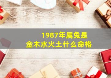 1987年属兔是金木水火土什么命格