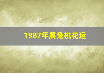 1987年属兔桃花运