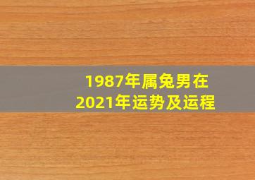 1987年属兔男在2021年运势及运程