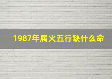 1987年属火五行缺什么命