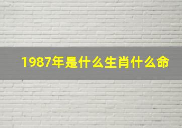 1987年是什么生肖什么命