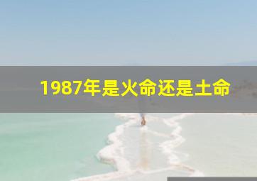 1987年是火命还是土命