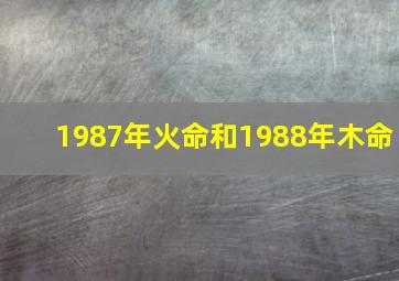 1987年火命和1988年木命