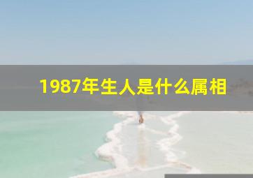 1987年生人是什么属相