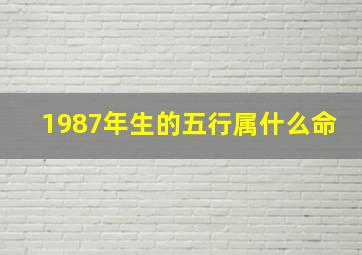 1987年生的五行属什么命