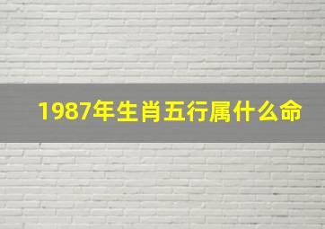 1987年生肖五行属什么命