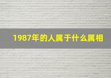 1987年的人属于什么属相