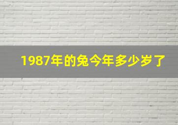 1987年的兔今年多少岁了