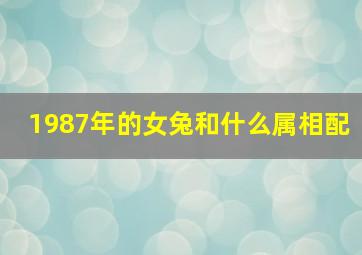 1987年的女兔和什么属相配