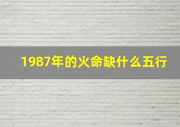 1987年的火命缺什么五行