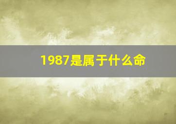 1987是属于什么命