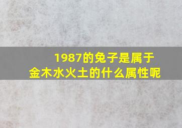 1987的兔子是属于金木水火土的什么属性呢