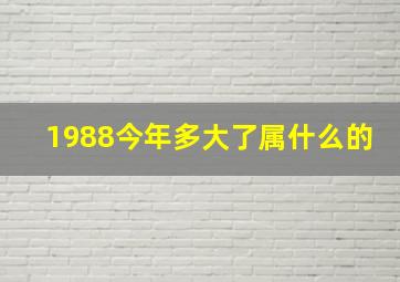 1988今年多大了属什么的