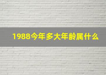 1988今年多大年龄属什么