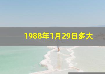 1988年1月29日多大