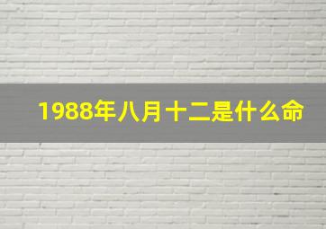 1988年八月十二是什么命