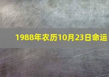 1988年农历10月23日命运