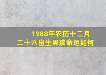 1988年农历十二月二十六出生男孩命运如何