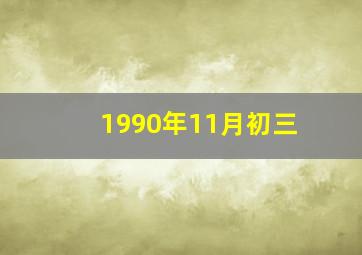 1990年11月初三